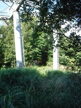 2019-09-08 08.18.10.jpg
