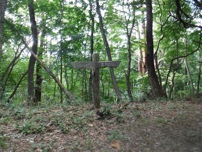 2019-09-08 09.13.07.jpg