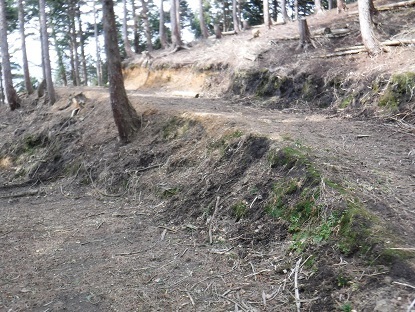 DSCF0003.JPG