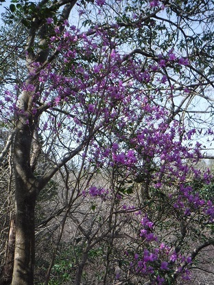DSCF0004.JPG
