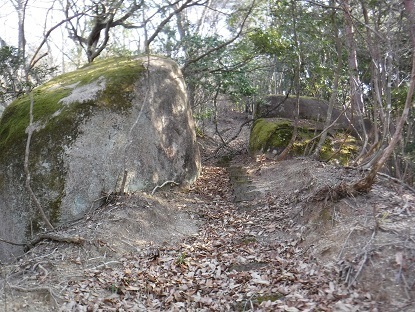 DSCF0005.JPG