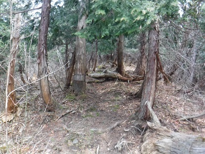 DSCF0005.JPG
