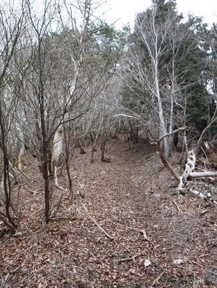 DSCF0006.JPG