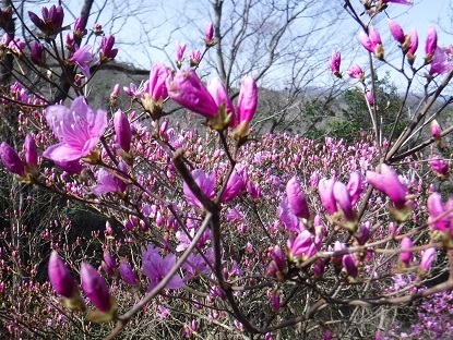 DSCF0008.JPG