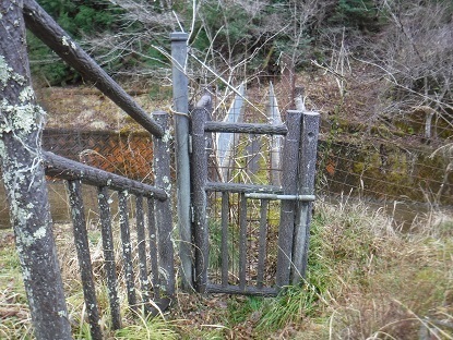 DSCF0010.JPG