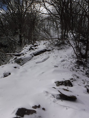 DSCF0010.JPG