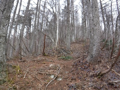 DSCF0010.JPG