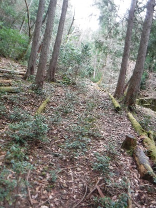 DSCF0012.JPG
