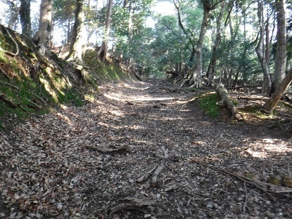 DSCF0012.JPG