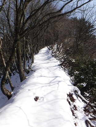DSCF0015.JPG