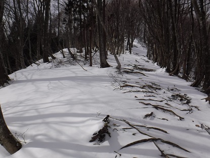 DSCF0016.JPG
