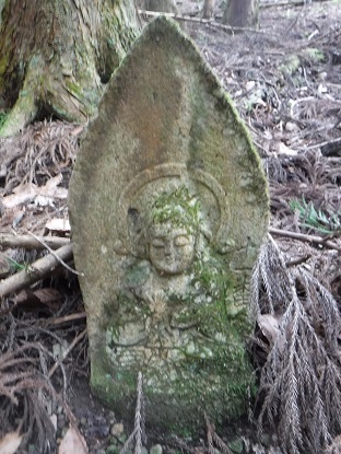 DSCF0021.JPG