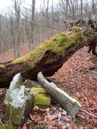 DSCF0025.JPG