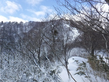DSCF0025.JPG
