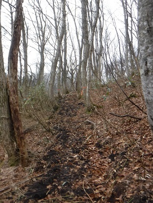 DSCF0031.JPG
