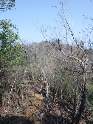 DSCF0031.JPG