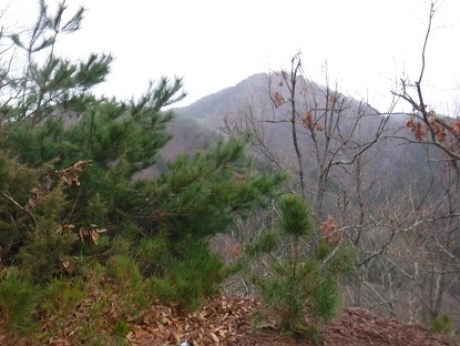 DSCF0032.JPG