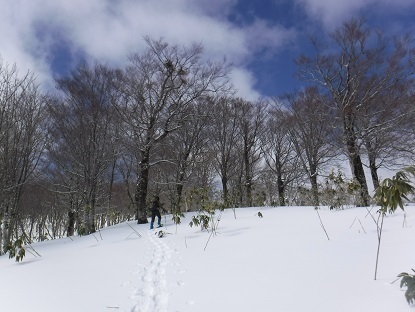 DSCF0035.JPG