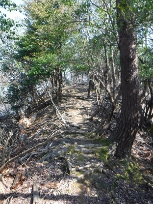 DSCF0036.JPG
