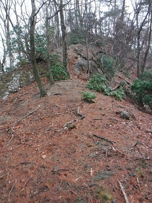 DSCF0042.JPG