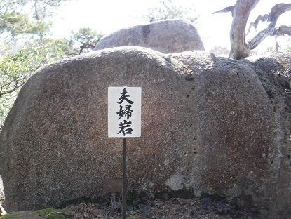 DSCF0046.JPG