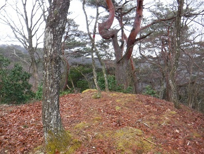DSCF0046.JPG