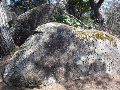 DSCF0047.JPG