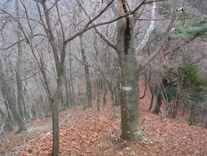 DSCF0048.JPG