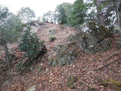 DSCF0051.JPG