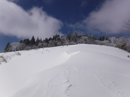 DSCF0051.JPG