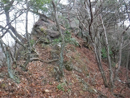 DSCF0058.JPG
