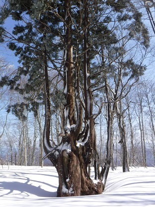 DSCF0058.JPG