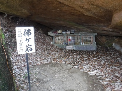 DSCF0063.JPG