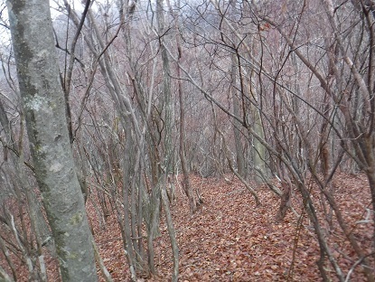 DSCF0064.JPG