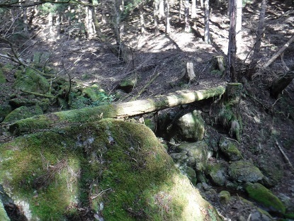 DSCF0065.JPG