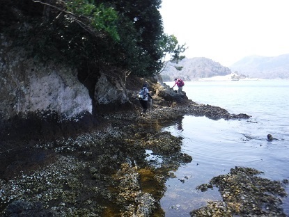 DSCF0071.JPG