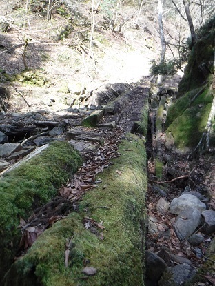 DSCF0072.JPG