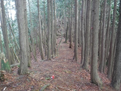 DSCF0072.JPG