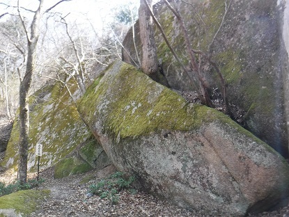 DSCF0076.JPG