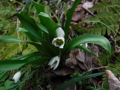 DSCF0076.JPG