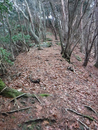 DSCF0076.JPG