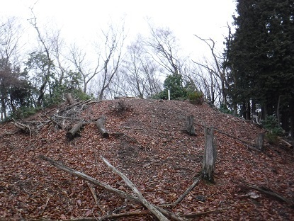 DSCF0077.JPG