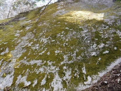 DSCF0078.JPG