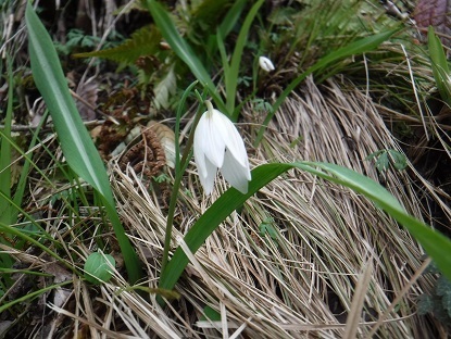 DSCF0078.JPG