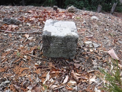 DSCF0078.JPG