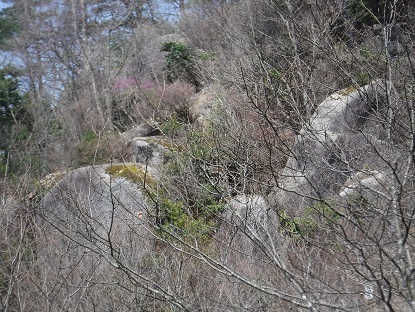 DSCF0080.JPG