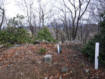 DSCF0082.JPG