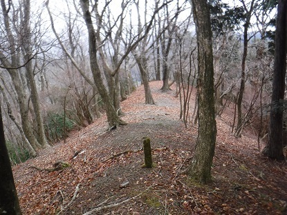 DSCF0085.JPG