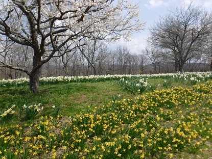 DSCF0086.JPG
