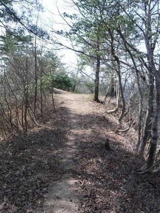 DSCF0087.JPG